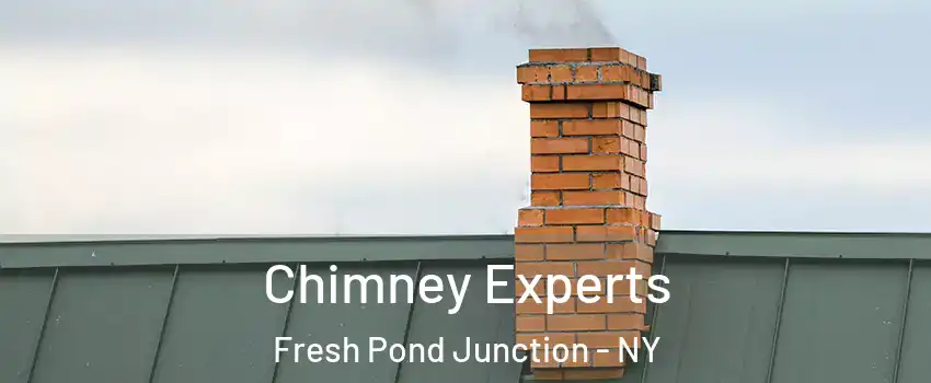 Chimney Experts Fresh Pond Junction - NY