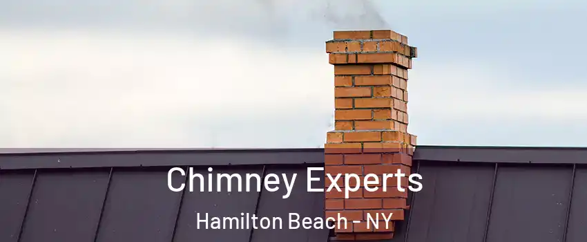 Chimney Experts Hamilton Beach - NY
