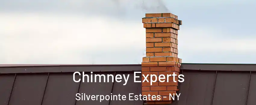 Chimney Experts Silverpointe Estates - NY