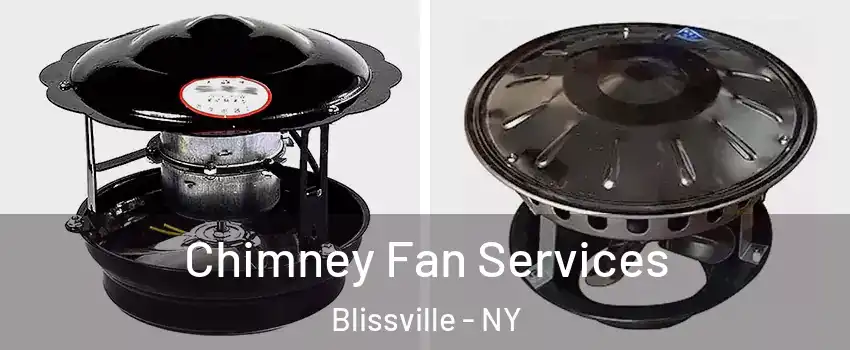 Chimney Fan Services Blissville - NY