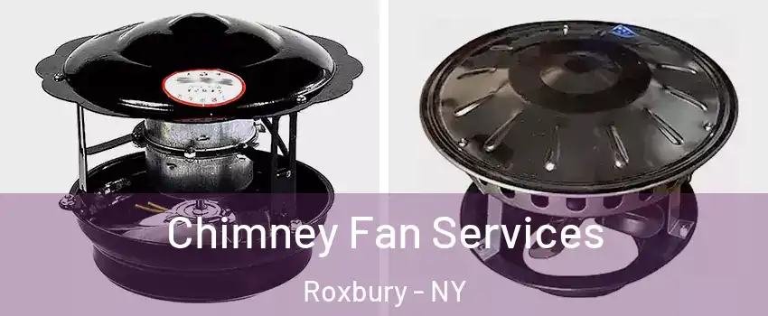 Chimney Fan Services Roxbury - NY