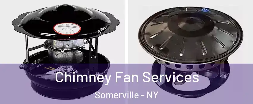 Chimney Fan Services Somerville - NY