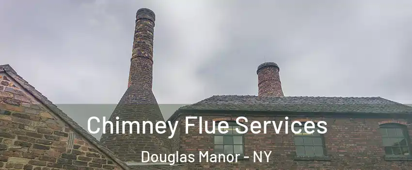 Chimney Flue Services Douglas Manor - NY