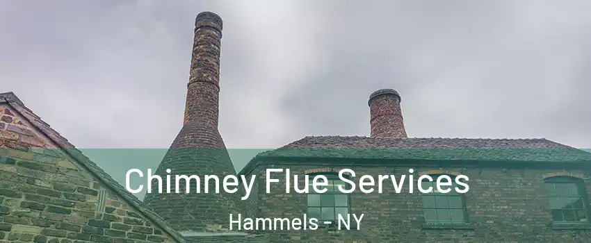 Chimney Flue Services Hammels - NY