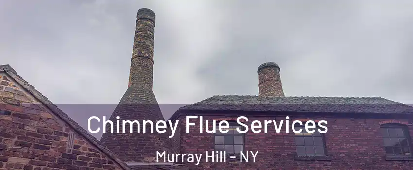 Chimney Flue Services Murray Hill - NY