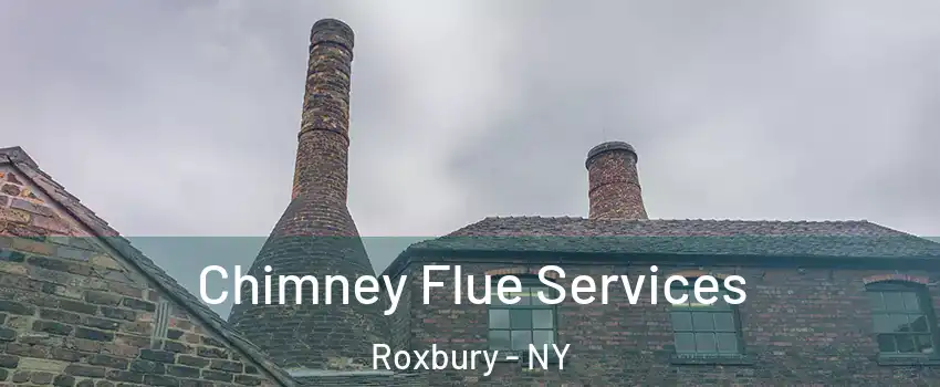 Chimney Flue Services Roxbury - NY