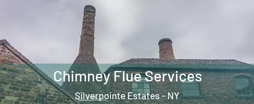 Chimney Flue Services Silverpointe Estates - NY