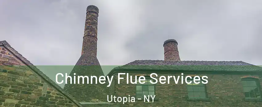 Chimney Flue Services Utopia - NY