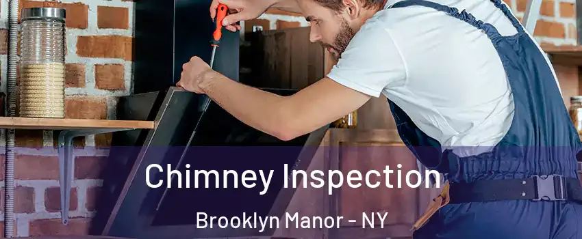 Chimney Inspection Brooklyn Manor - NY