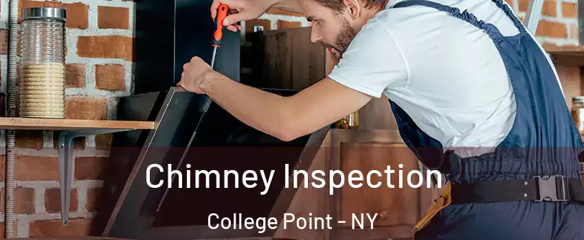 Chimney Inspection College Point - NY