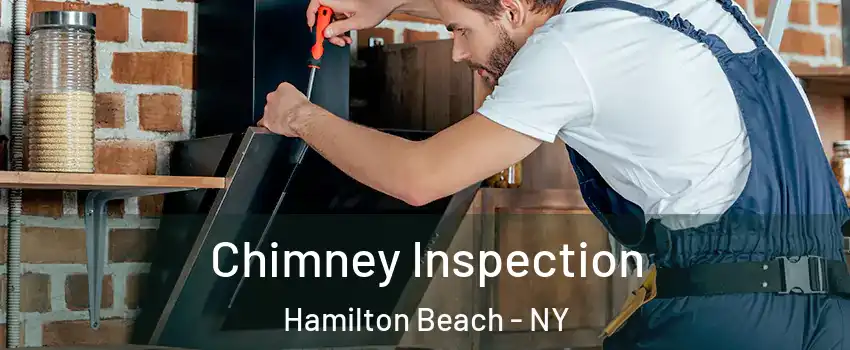 Chimney Inspection Hamilton Beach - NY