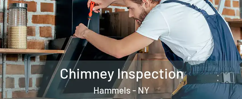 Chimney Inspection Hammels - NY