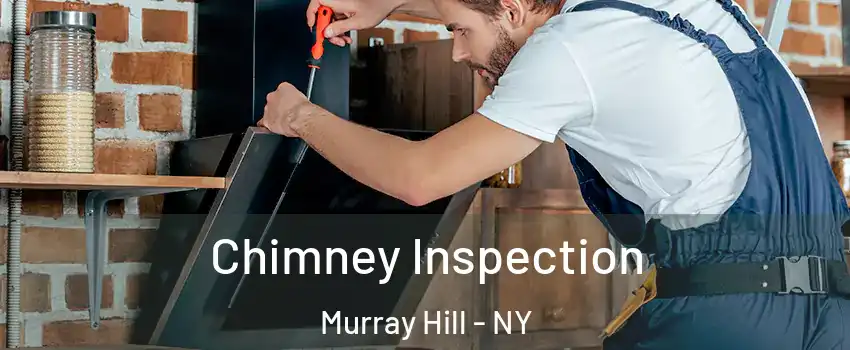 Chimney Inspection Murray Hill - NY