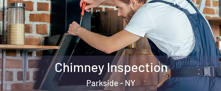 Chimney Inspection Parkside - NY