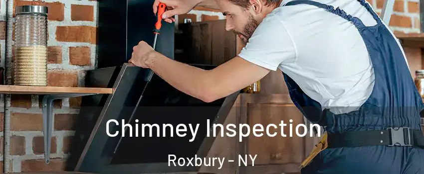 Chimney Inspection Roxbury - NY