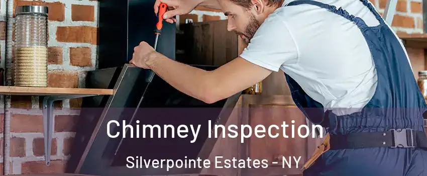 Chimney Inspection Silverpointe Estates - NY