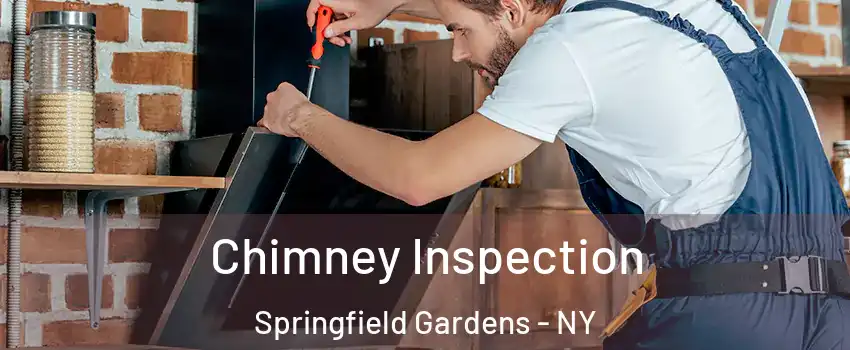 Chimney Inspection Springfield Gardens - NY