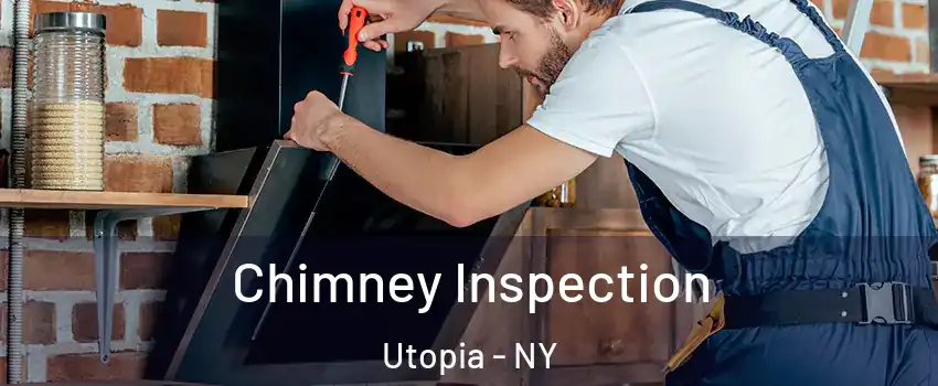 Chimney Inspection Utopia - NY