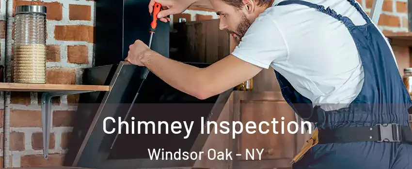 Chimney Inspection Windsor Oak - NY