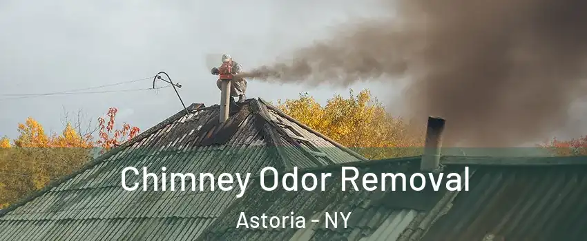 Chimney Odor Removal Astoria - NY