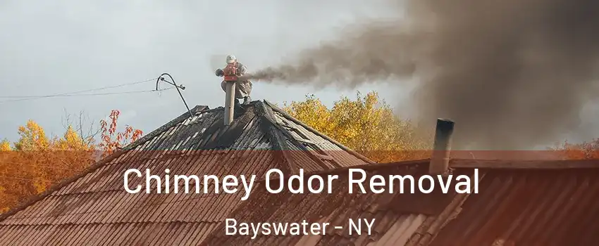 Chimney Odor Removal Bayswater - NY