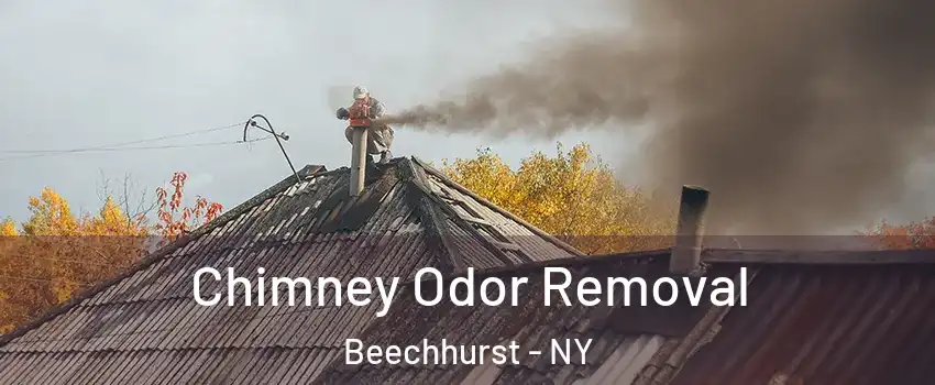 Chimney Odor Removal Beechhurst - NY