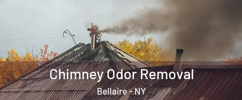 Chimney Odor Removal Bellaire - NY