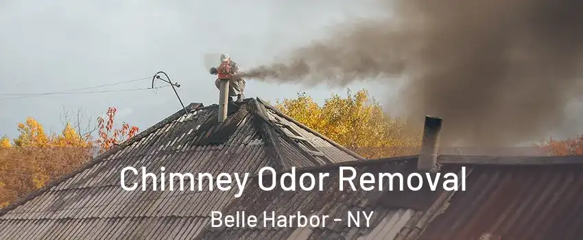 Chimney Odor Removal Belle Harbor - NY