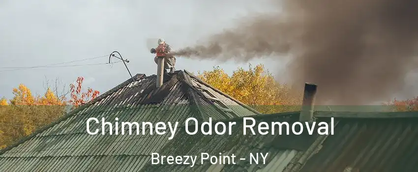 Chimney Odor Removal Breezy Point - NY