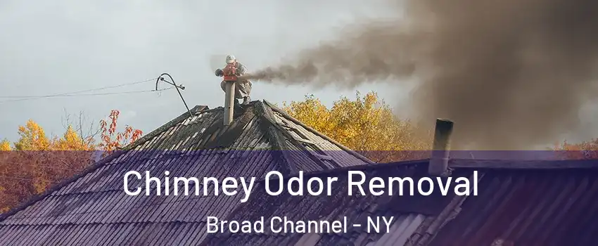 Chimney Odor Removal Broad Channel - NY