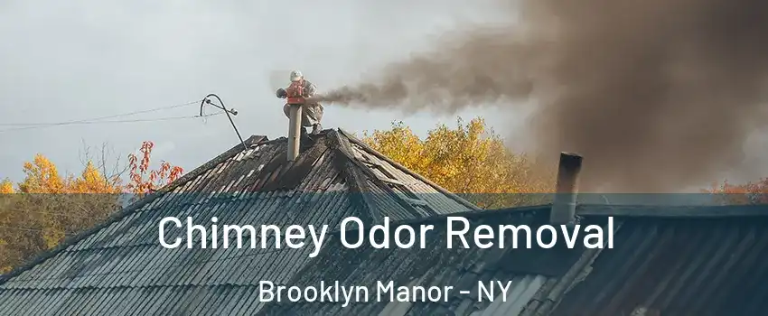 Chimney Odor Removal Brooklyn Manor - NY
