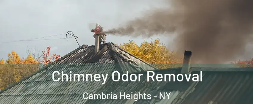 Chimney Odor Removal Cambria Heights - NY