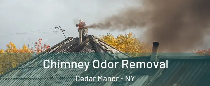 Chimney Odor Removal Cedar Manor - NY