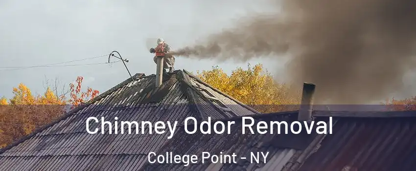 Chimney Odor Removal College Point - NY