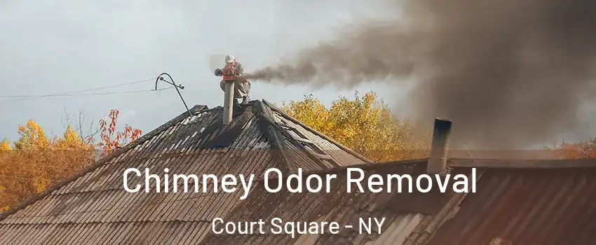 Chimney Odor Removal Court Square - NY