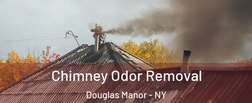 Chimney Odor Removal Douglas Manor - NY