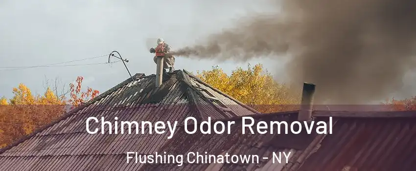 Chimney Odor Removal Flushing Chinatown - NY