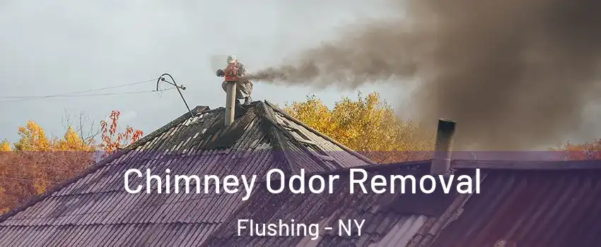 Chimney Odor Removal Flushing - NY