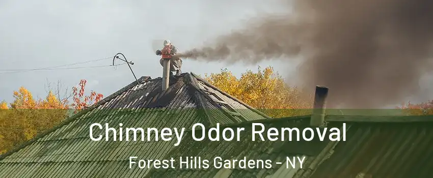 Chimney Odor Removal Forest Hills Gardens - NY