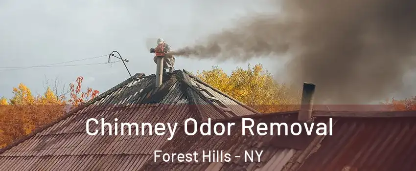 Chimney Odor Removal Forest Hills - NY