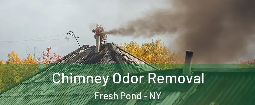 Chimney Odor Removal Fresh Pond - NY