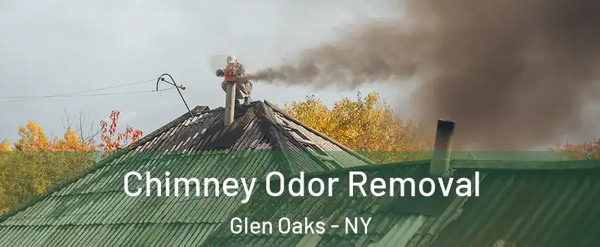 Chimney Odor Removal Glen Oaks - NY