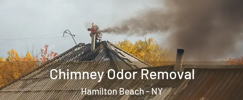 Chimney Odor Removal Hamilton Beach - NY