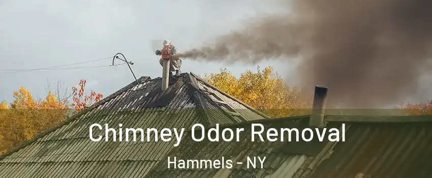 Chimney Odor Removal Hammels - NY