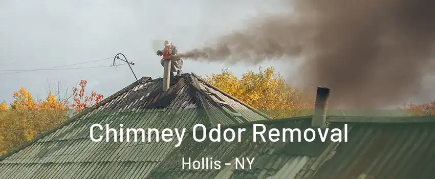 Chimney Odor Removal Hollis - NY