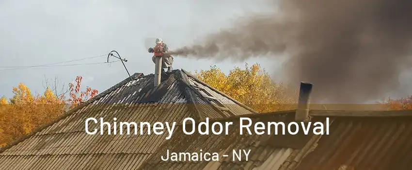 Chimney Odor Removal Jamaica - NY