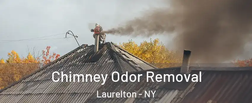 Chimney Odor Removal Laurelton - NY