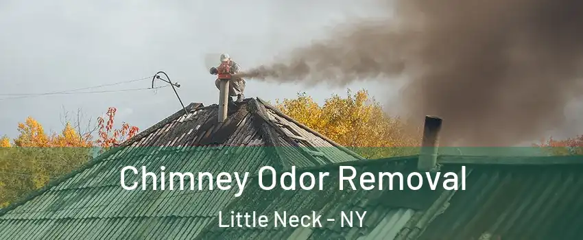 Chimney Odor Removal Little Neck - NY