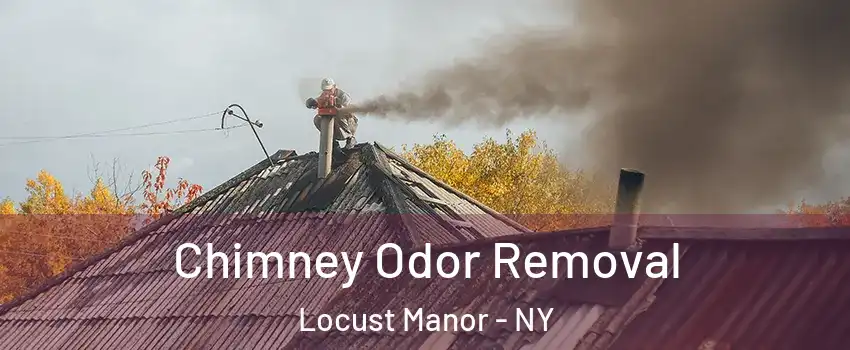 Chimney Odor Removal Locust Manor - NY