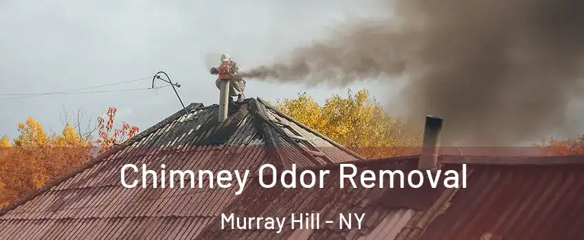 Chimney Odor Removal Murray Hill - NY